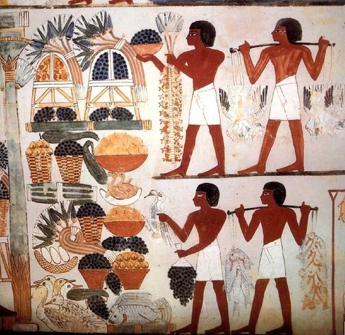 Drying & Dehydration Methods