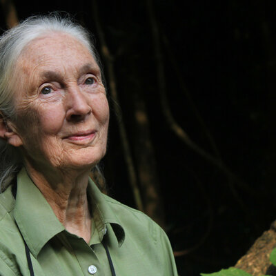 Timeline: Jane Goodall timeline Jesus Rubio Peinado
