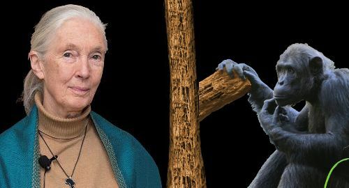 THIRD  IMPORTANT EVENT