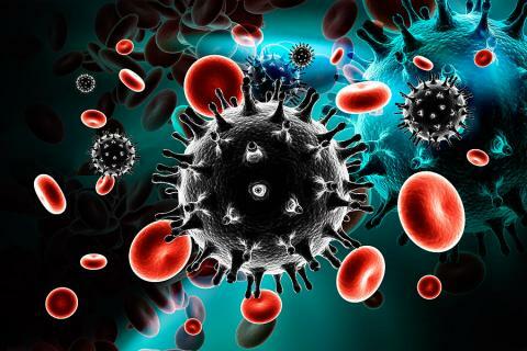 Virus de la inmunodeficiencia humana (VIH)