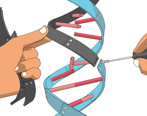 Biotechnology and genetics era