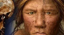 Timeline: evolución de los homínidos