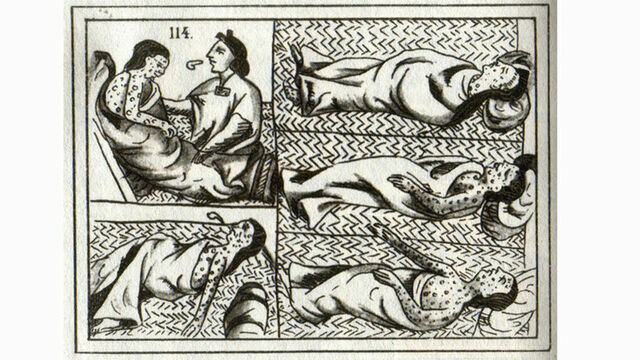 Viruela, virus variola