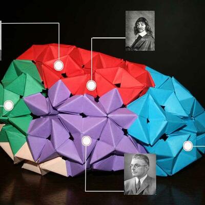 Timeline: Historia de la Psicologia