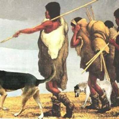 Timeline: teroías migracionistas