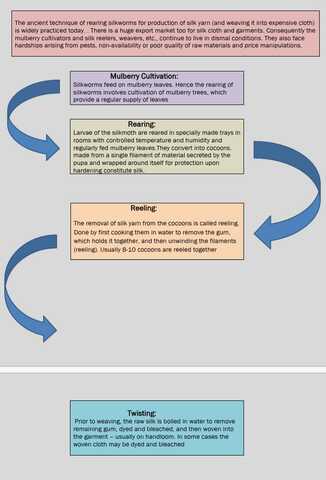 Sericulture and silk production