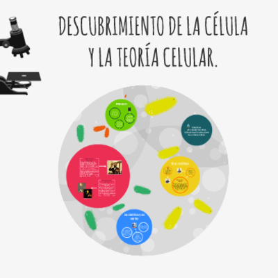 Timeline: Descubrimiento de la célula