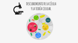 Timeline: Descubrimiento de la célula