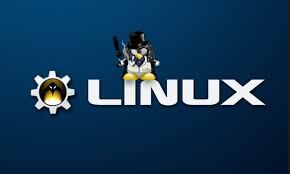 Nace la mascota de Linux (Tux)