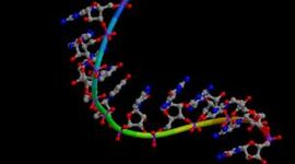Timeline: Descubrimiento y estructura del ARN