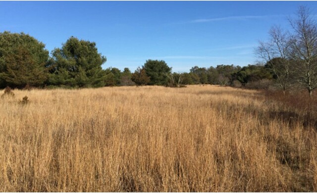 Environmental Rebirth