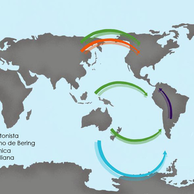 Timeline: Lìnea de Tiempo Momento de trabajo 2 Martìn de Leòn