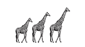 Principios de la Teoría Evolucionista de Lamarck.