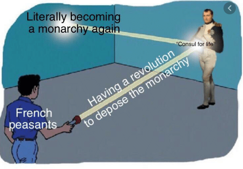 First Consul of the French Republic