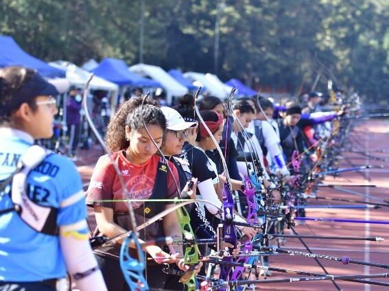 Estudio de Zhelyazkov