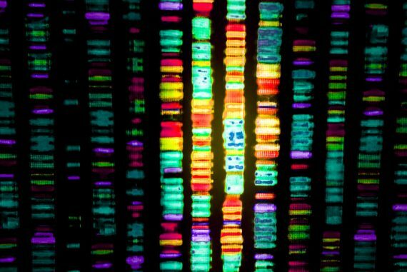 sequenza del DNA umano ma su vasta scala
