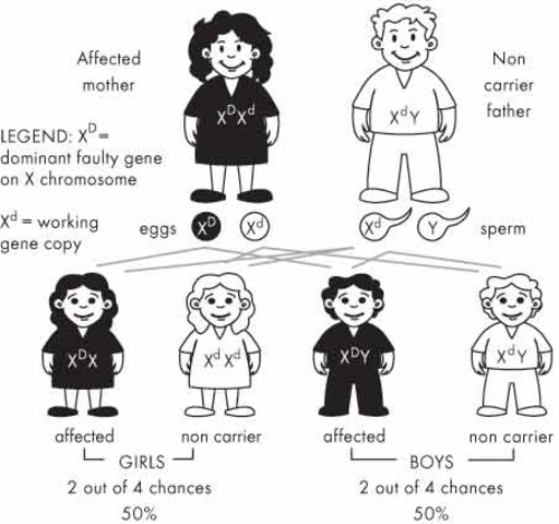 Discovery of Genetic Inhertitance Patterns