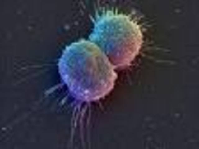 Human Genome Project