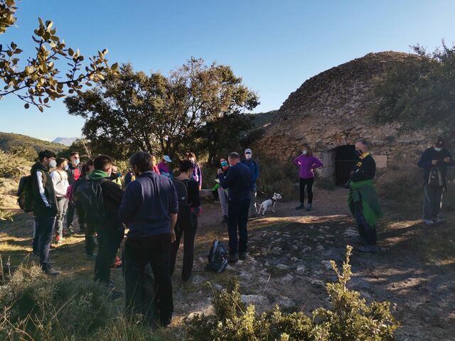 Cims per la Llengua: Els Plans