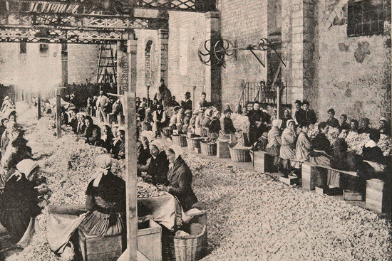 Industrializació França