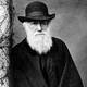 Darwin charles