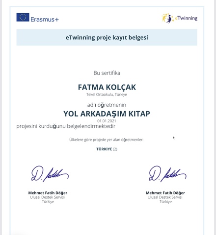 Projemizin Onaylanması