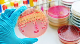 Timeline: Nascita e sviluppo della genetica.