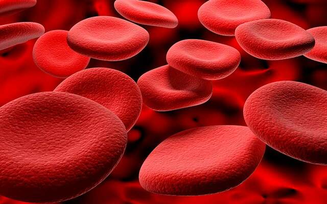 Científicos norteamericanos