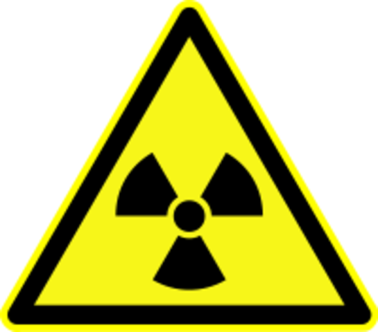 Folkomröstning kärnkraft