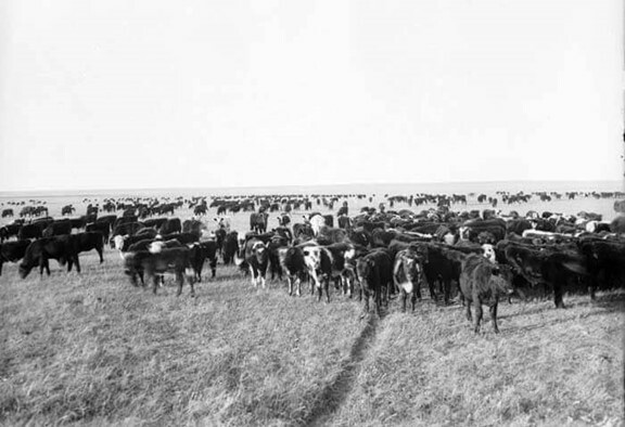 Passage de l'élevage à l'agriculture