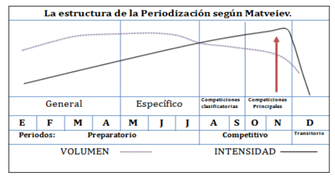 Mediados del Siglo XX