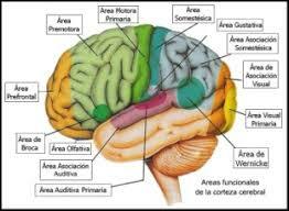 Teoría de la integración entre estímulos