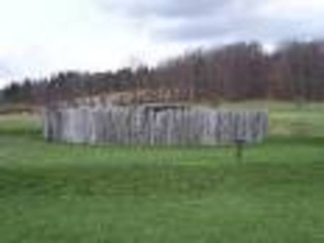Washington's Fort Necessity