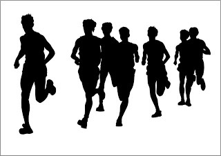 Sistemas de entrenamientos