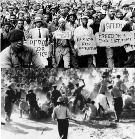 Lucha contra el Apartheid