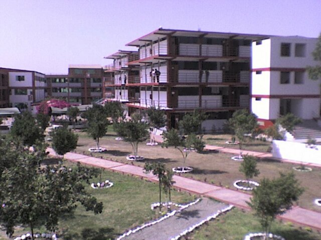 MY SECOND PROFESSIONAL CAREER