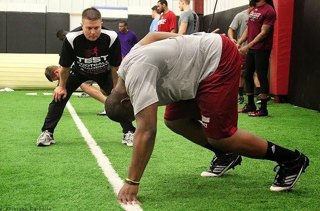 Teoría de la integración de estímulos y materia viva