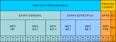Periodización anual del entrenamiento