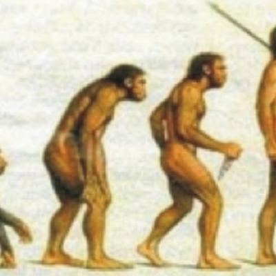 Timeline: Fijistas y Evolucionistas