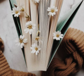 Le lockdown de corona de covid-19 commence