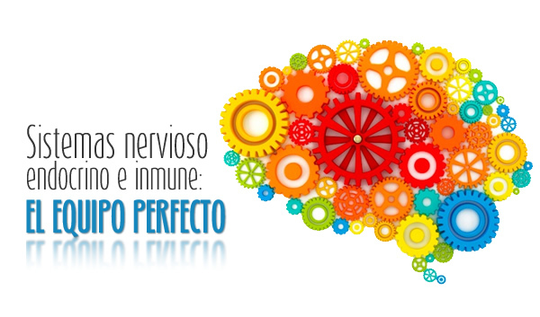 Fundamentos para una nueva teoría del entrenamiento para el deporte competitivo