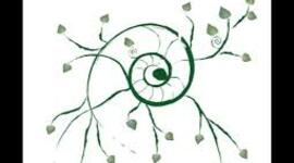 Timeline: Línea del tiempo de pedagogía Rizomática