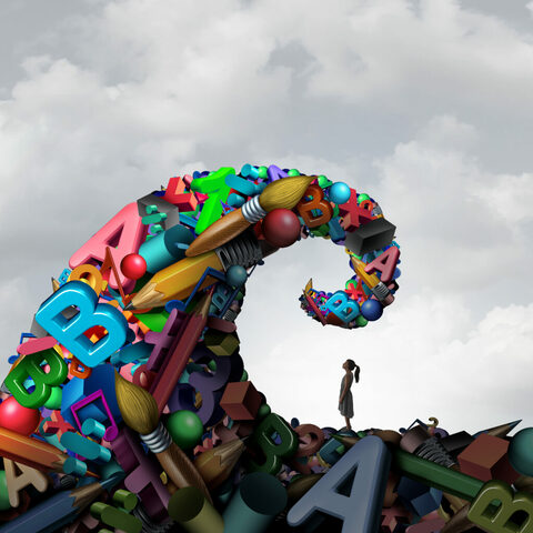 Servicios complementarios