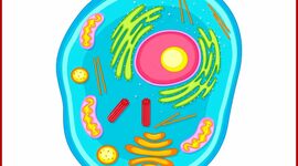 Timeline: Origen de la Celula