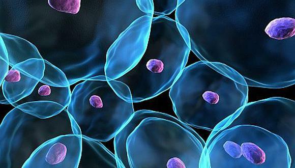 Avance científico: Reprogramación celular.