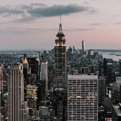 Timeline: La vie de Violet