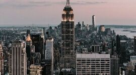 Timeline: La vie de Violet