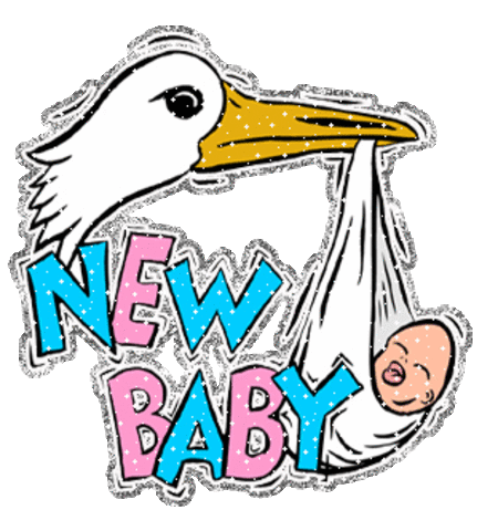 When Sophie Germain was born