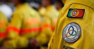 Nova lei orgânica da Proteção Civil