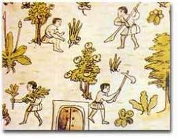 Leyes de Burgos 1512